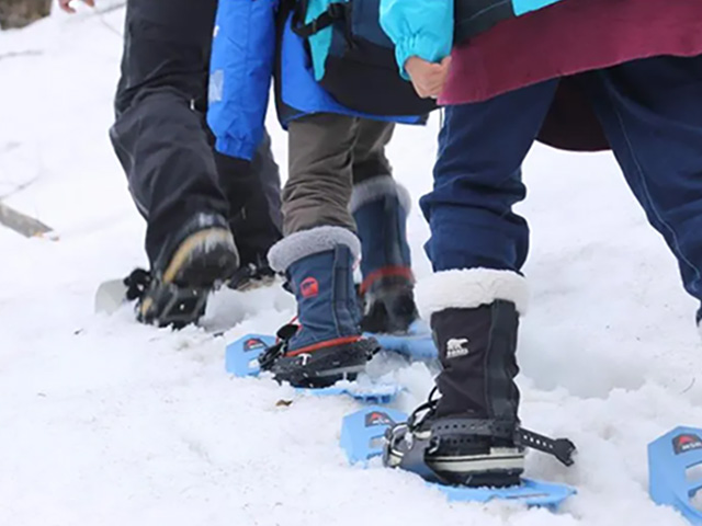 Snow-shoe Trekking